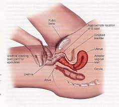 Yenmeyip yanda kafa tokusturulmasi lazimdir. Female Ejaculation The Tricks On How To Squirt Youonlywetter