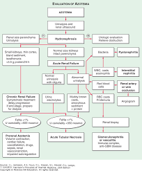 azotemia and urinary abnormalities harrisons principles