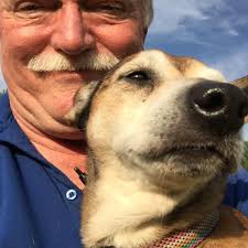 Missing dogs in Chautauqua County area