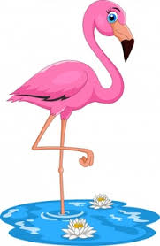 Funny profile pictures funny photos flamingo pictures flamingo photo albert king flamingo wallpaper he makes me smile famous youtubers roblox memes. Funny Flamingo Images Free Vectors Stock Photos Psd