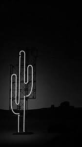 During the blossoming season, they require direct sunlight, humidity, and high temperature. Black Cactus Wallpapers Top Free Black Cactus Backgrounds Wallpaperaccess