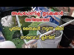 How To Make Aquaponics Technique In Malayalam Aquaponics In Kerala Botanical Cart