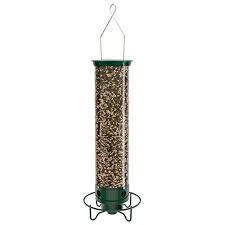This easy to build diy bird feeder pole will keep squirrels out of your bird feeders 5 Best Squirrel Proof Bird Feeder Models For 2021 Reviewed