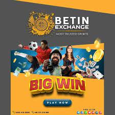 Big Win In 2021 How To Apply Sports Cashback