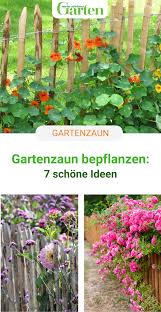 Gartenzaun Bepflanzen 7 Schone Ideen In 2020 Garten Garten Pflanzen Garten Gestalten