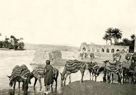 مدينة عانة عام 1909 Iraq Mesopotamia Photo