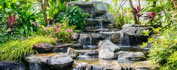 Maybe you would like to learn more about one of these? Exotic Landscape Design Landscape Installation Custom Waterfalls Miami