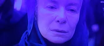 Sad, sad, gruesome news about my shipment of catnip