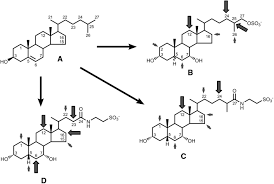 Clamp for water drain hose at wheelhouse. Bile Salts Of Vertebrates Structural Variation And Possible Evolutionary Significance S Journal Of Lipid Research