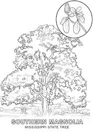 Once common throughout the northeast, the bluebird fell prey to. New York State Tree Coloring Page Free Coloring Library