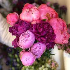 Check spelling or type a new query. Monti S Flower Market Home Facebook