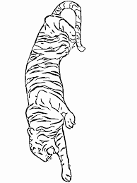 Kids N Funcouk Coloring Page Tigers Tigers