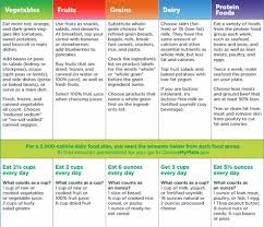 what does a healthy meal look like myplate guidelines