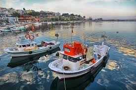 Sinop, historically known as sinope, is a city with a population of 219,733 on the isthmus of i̇nce burun, near cape sinope which is situated. Gerze Wikipedia