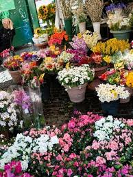 Harts and flowers green river wy. Outdoor Flower Markets National Geographic