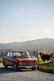 Image result for Grigio Alba 1967 Alfa-Romeo