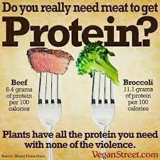 Meat Protein Protein Comes From Beans Nuts Veggies Too Vegan Facts Why Vegan Going Vegan