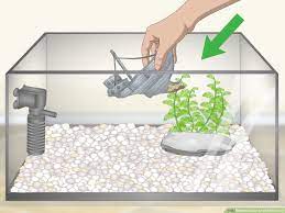 How To Clean An Old Fish Tank: 12 Steps (With Pictures) - Wikihow