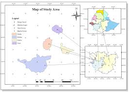 Image result for Pouteria adolfi-friederici