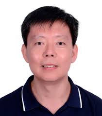 Cell wall dynamic changes and signaling during plant lateral root  development