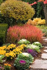 Mums Kale And Perennial Grasses From Www Barnnurserylandscape Com