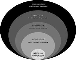 Socioecologies in shaping migrants and refugee youths sexual and  reproductive health and rights: a participatory action research study |  Reproductive Health | Full Text