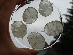 Basteln Mit Epoxidharz Vlikeveronika Diy Upcycling Basteln In 2020 Epoxidharz Harz Basteln