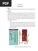 Image result for Strophanthus gardeniiflorus