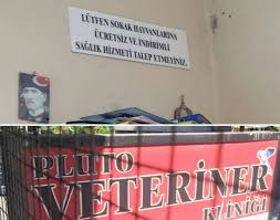 Lutfen Sokak Hayvanlarina Ucretsiz Ve Indirimli Saglik Hizmeti Talep Etmeyiniz Afisi Tepki Gordu Hayvan Sokak