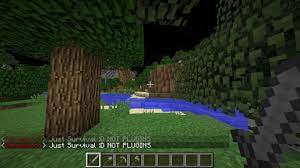 Doing this just means you can simply play through the minecraft vanilla servers without using any mods or downloads. Survival Just Survival D No Plugins Minecraft Server