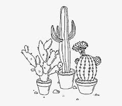 Andrea kirk | the art chik. Plants Tumblr Nature Cactus Drawings 542x632 Png Download Pngkit