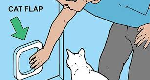 You might notice your cat exhibiting tachypnea in stressful if your cat is exhibiting labored, rapid, or noisy breathing, you'll need an expert to help you identify. Anxious Cat Sounds That Bother Cats Petplan