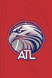 Find the best atlanta hawks wallpapers on wallpapertag. Atlanta Hawks Wallpapers Top Free Atlanta Hawks Backgrounds Wallpaperaccess