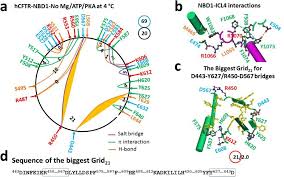 Image result for Delta F508