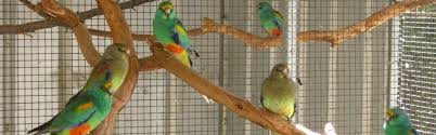 Wimmera Bird Club About Us