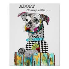 Get reviews, hours, directions, coupons and more for pet vet express affordable clinic at 728 joliet st, dyer, in 46311. Pet Vet Express Dyer In The Y Guide