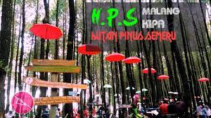 Perjalanan ke gunung semeru, juli 2010 bersama sobat baru dari khyberpass dan forum kaskus. Liburan Ke Hutan Pinus Semeru Bromo Travel Terpercaya