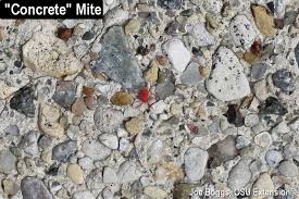 Maybe you would like to learn more about one of these? Concrete Mites Are Out Look Before You Sit Bygl