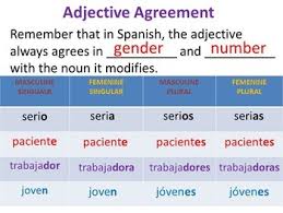 What is a noun and adjective. Noun Adjective Agreement Other Quiz Quizizz