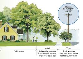 Share t & w landscaping inc. Choose Trees That Won T Interfere W Power Lines When Grown Good Trees Trident Amur Paperback Or Maple Tree Landscape Horse Chestnut Trees Trees To Plant