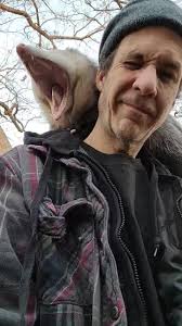 My Rosie. Tickling me with her whiskers while I make her famous!  #rosiethespoiledopossumprincess