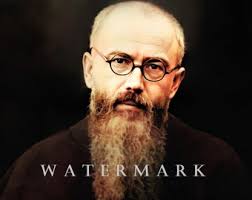 Questo articolo non è disponibile.