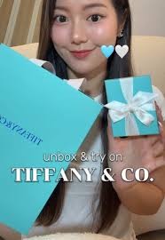 Return to Tiffany Mini Vs Small