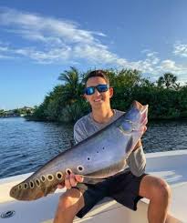 Check spelling or type a new query. Lake Ida Florida Fishing With Captain Johnny Captain Experiences