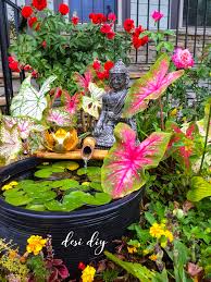 Zen Garden Backyard Fronyard Landscaping Budha Lotus Garden Garden Flowers Zen Garden Small Balcony Garden Lotus Garden