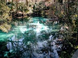 Juniper Prairie Wilderness Three Sisters Springs Florida Ocala Ocala National Forest
