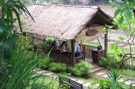 5 Tempat Makan Bak Pedesaan Di Malang Segar Banget Pemandangannya