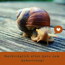 Auch wenn es zu spät ist, ist die person froh, dass sie darüber nachgedacht haben. Geburtstagsgrusse Whatsapp Einfache Organisation Rezepte
