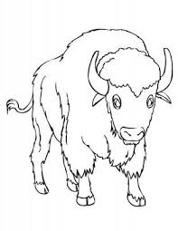 A Bison Or Buffalo Coloring Page Toddler Coloring Book Coloring Pages Coloring Books