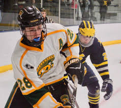 Season Preview: Stevenson